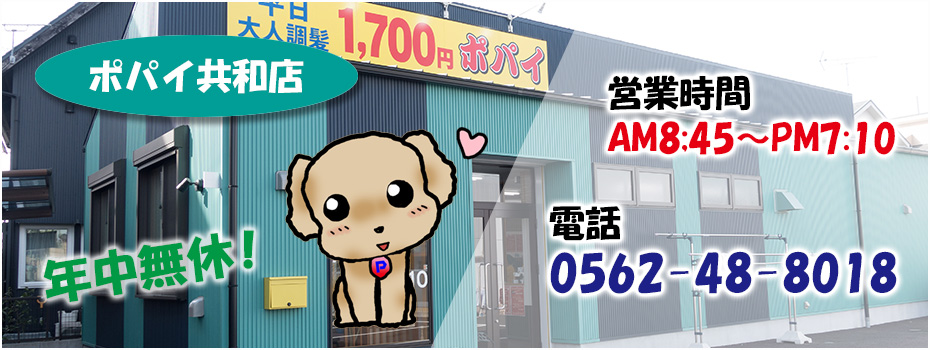 とこやさんポパイ 愛知県大府市 共和 刈谷市 東海市 名和 とこやさんポパイ 愛知県大府市 共和 刈谷市 東海市 名和