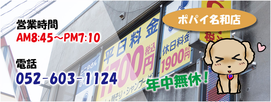 とこやさんポパイ 愛知県大府市 共和 刈谷市 東海市 名和